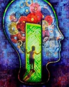 el cerebro y la percepción